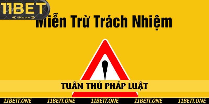 Tuân thủ pháp luật là quy định quan trọng trong miễn trừ trách nhiệm