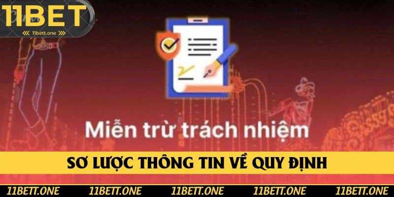 Sơ lược thông tin về quy định miễn trừ trách nhiệm