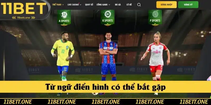 Từ ngữ điển hình có thể bắt gặp Từ ngữ điển hình có thể bắt gặp